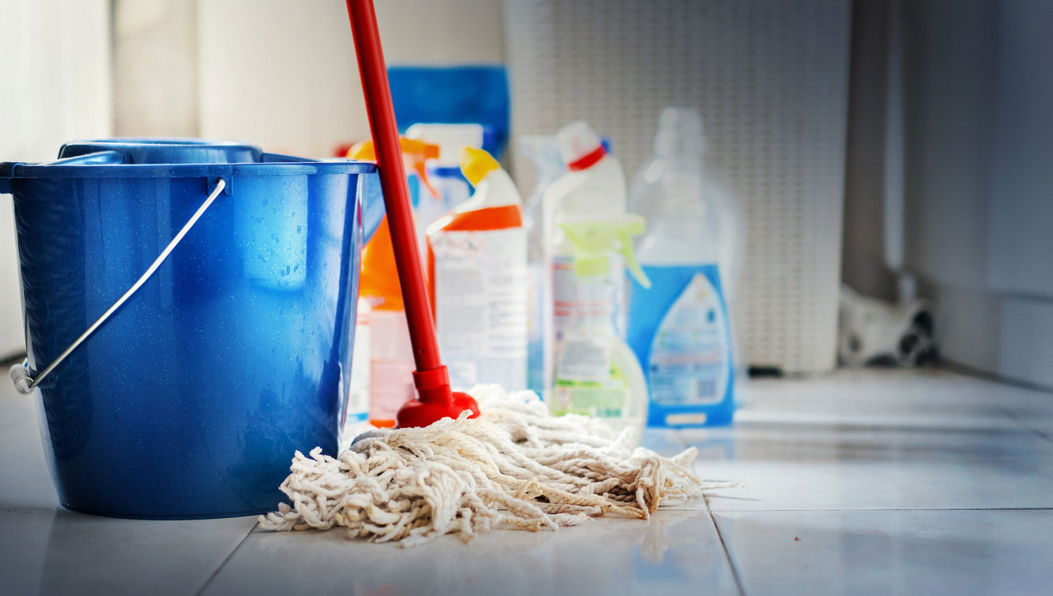 Cleaning Supplies